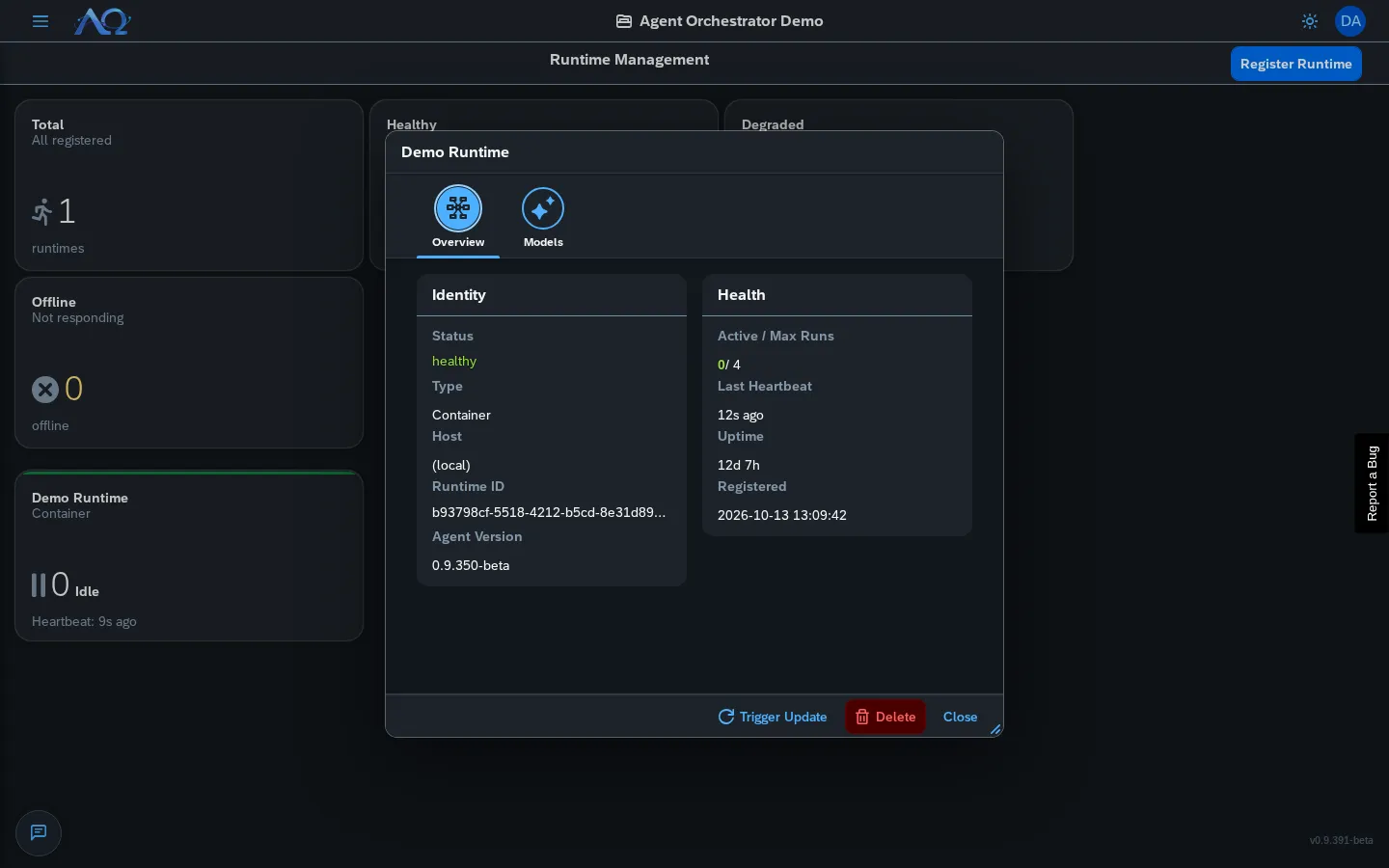 Runtime-Details